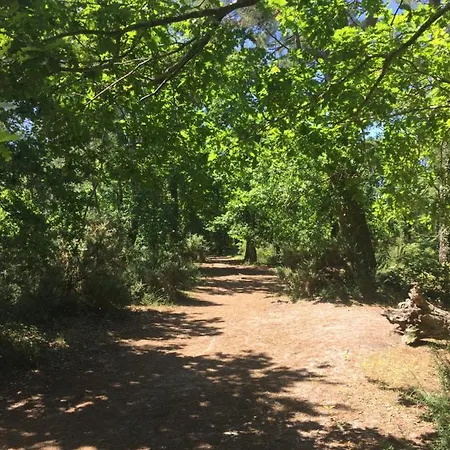 Le Charme Du Bassin D Arcachon En Mobil Climatise * Ares